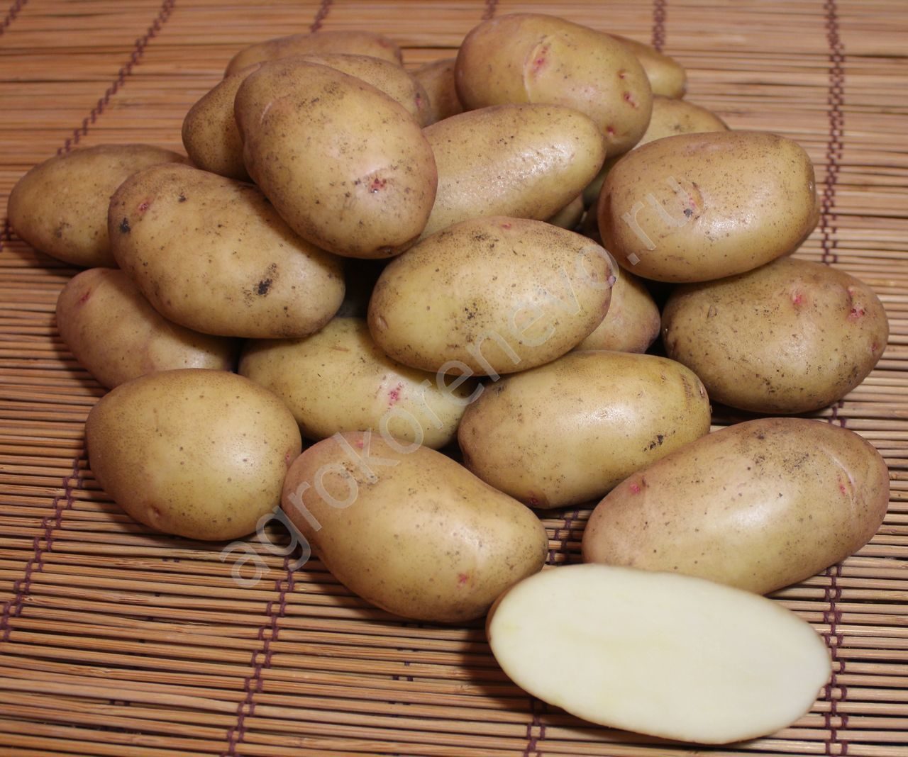 картофель марокко описание сорта