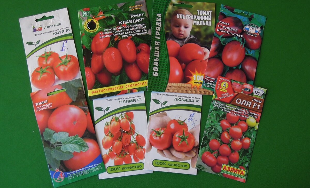 Ранние сорта помидоров для теплиц: 15 разновидностей