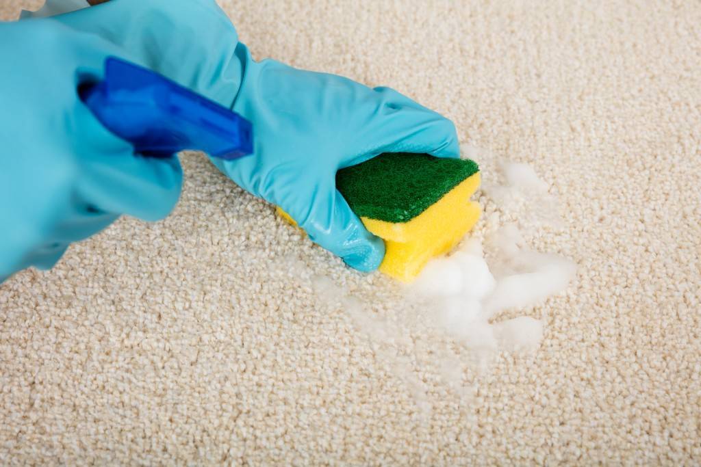 Чистка ковров в домашних условиях — домашние советы