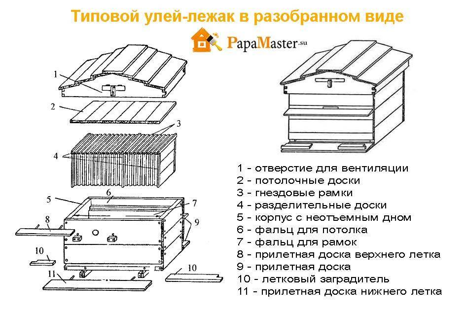 Улей для пчел своими руками из дерева чертежи