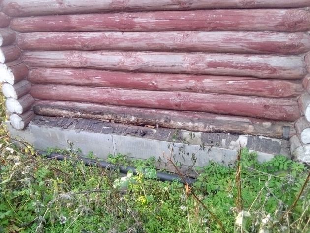 Почему у древних людей не было кариеса