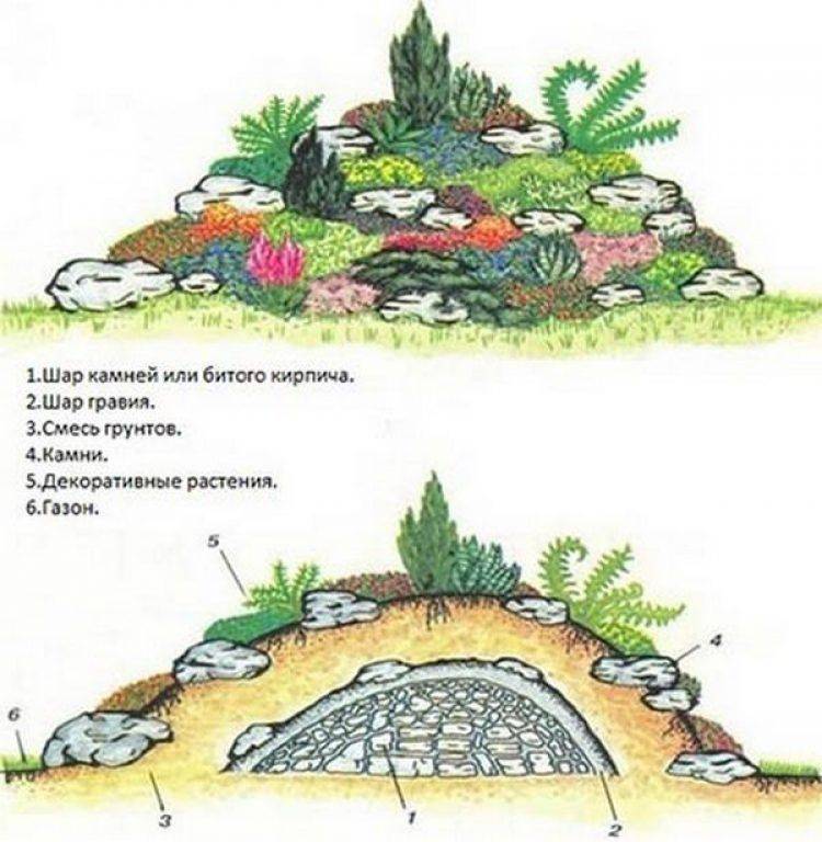Схема альпийской горки со списком растений и фото