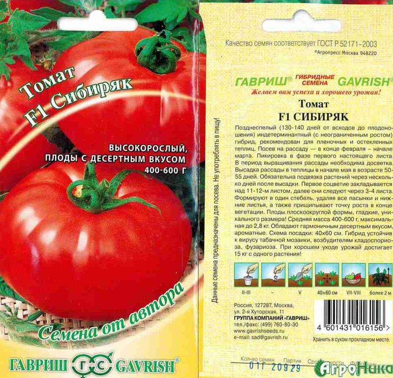 Обзор популярных сортов помидоров для теплиц: фото и характеристики
